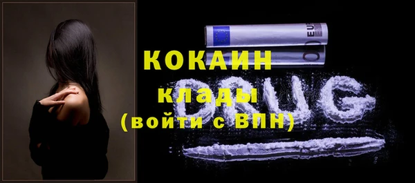 спиды Алзамай