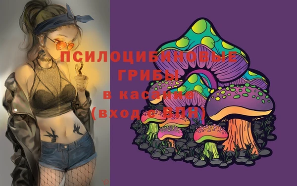 синтетический гашиш Осинники