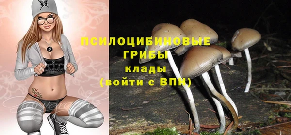 прущий лед Алексин