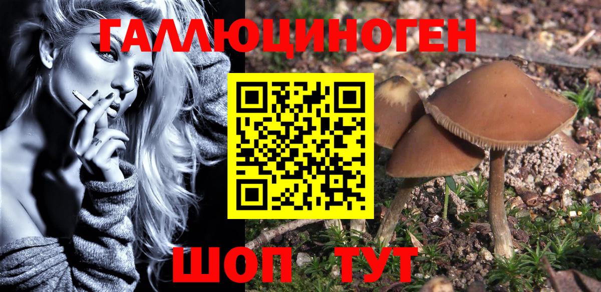 Галлюциногенные грибы Psilocybe  Вход с VPN  Когалым  Галлюциногенные грибы мухоморы 